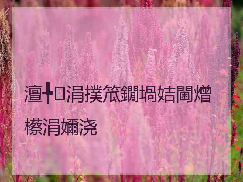 澶╄涓撲笟鐗堝姞閫熷櫒涓嬭浇