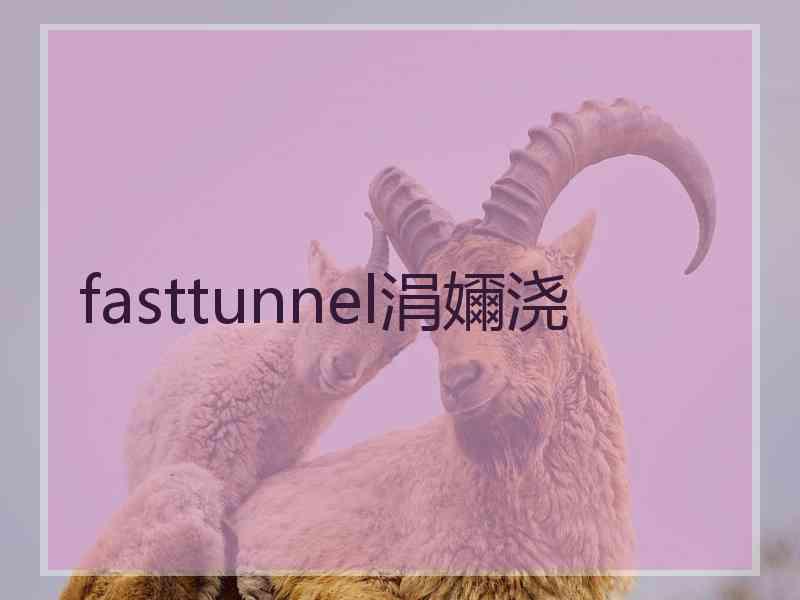 fasttunnel涓嬭浇