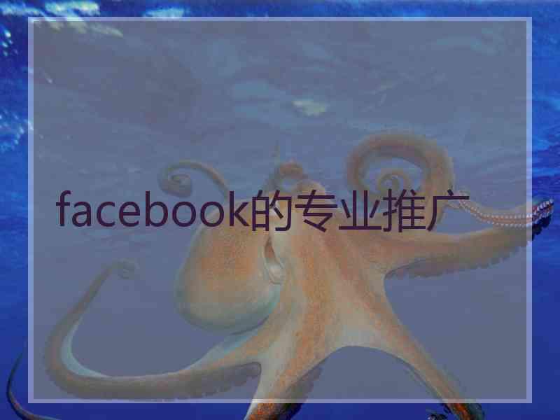 facebook的专业推广