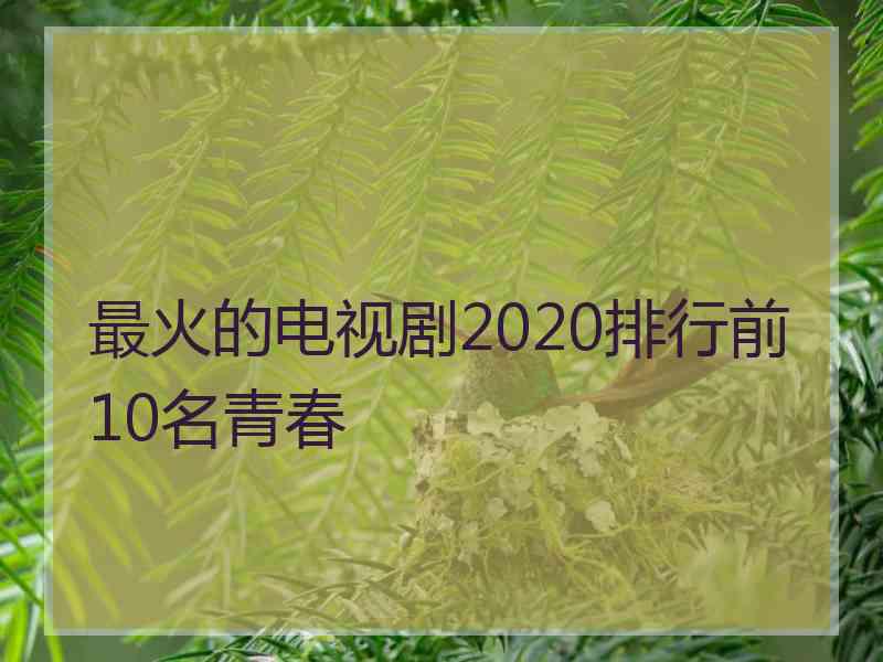 最火的电视剧2020排行前10名青春