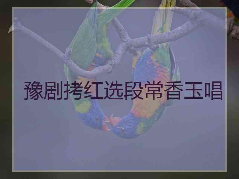 豫剧拷红选段常香玉唱