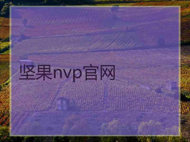 坚果nvp官网