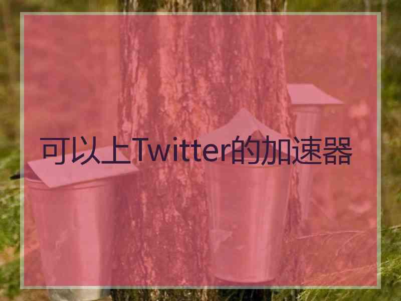 可以上Twitter的加速器