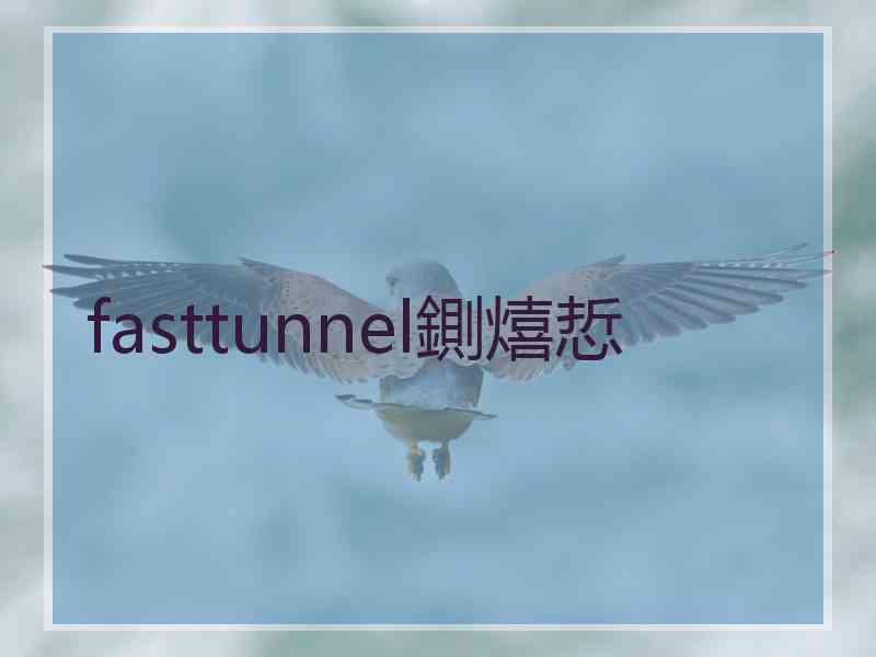 fasttunnel鍘熺悊