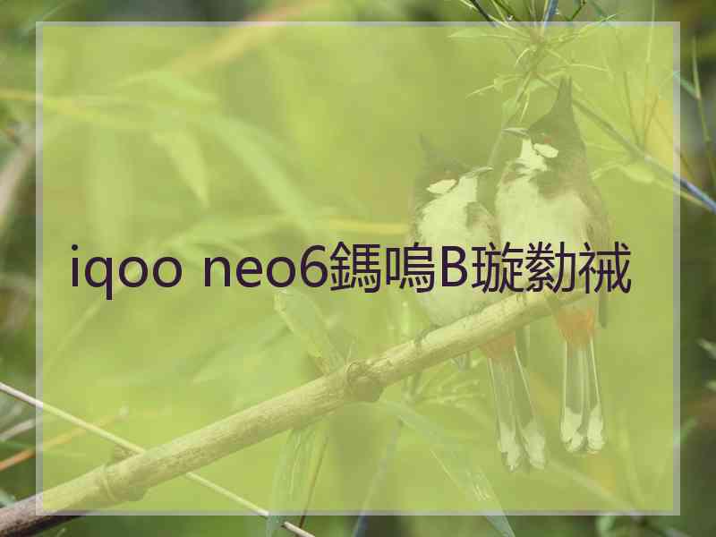 iqoo neo6鎷嗚В璇勬祴