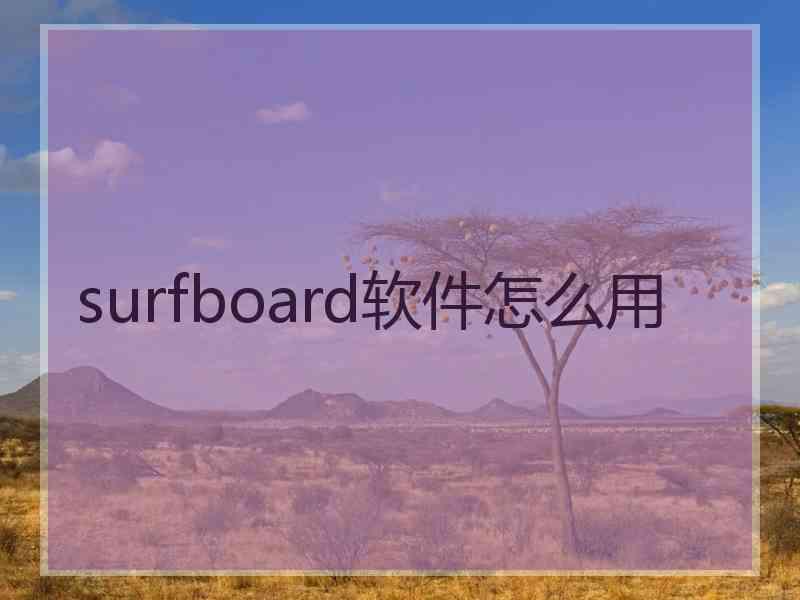 surfboard软件怎么用