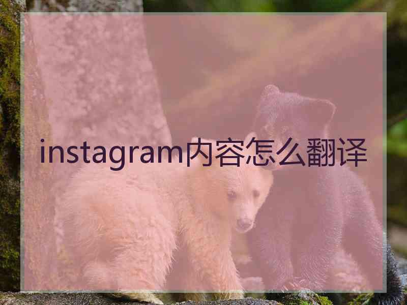 instagram内容怎么翻译