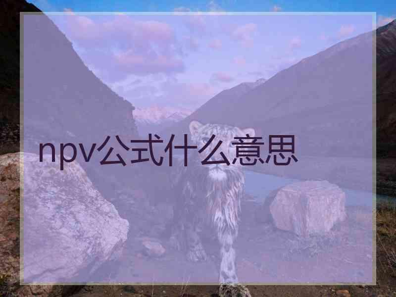 npv公式什么意思