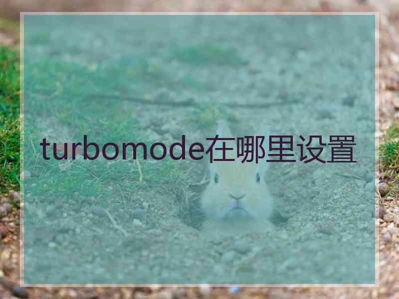 turbomode在哪里设置