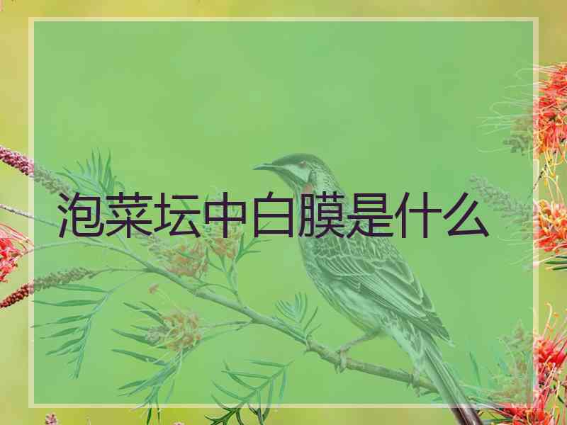 泡菜坛中白膜是什么