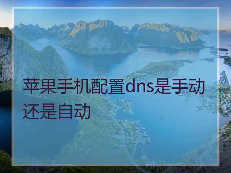 苹果手机配置dns是手动还是自动