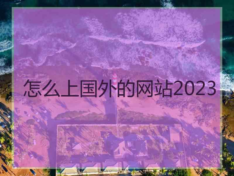 怎么上国外的网站2023