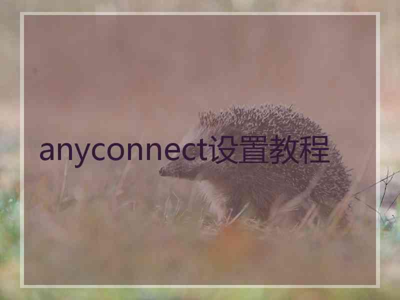 anyconnect设置教程