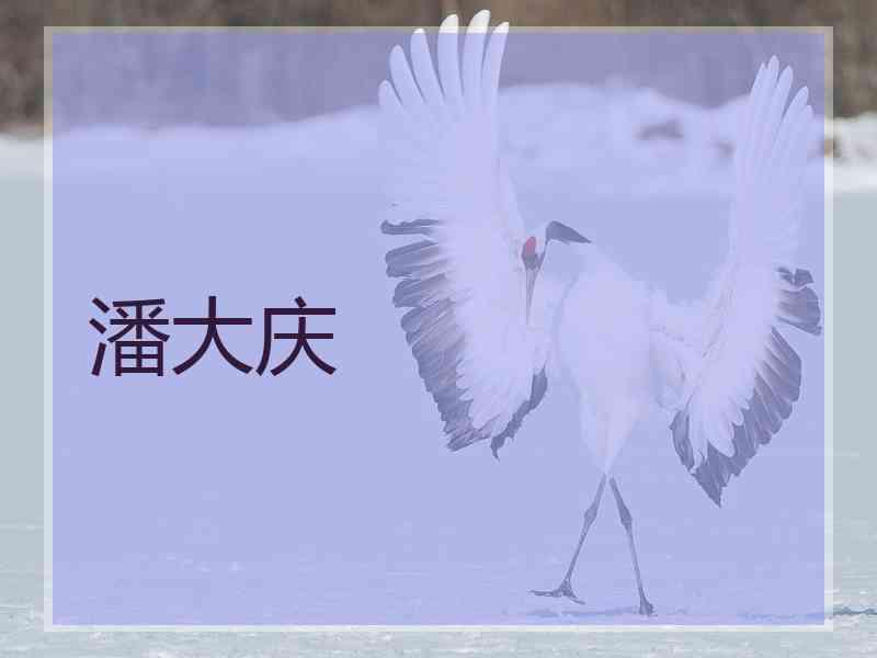 潘大庆