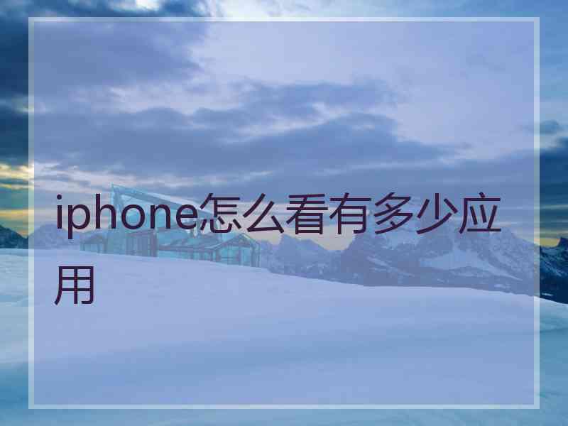 iphone怎么看有多少应用