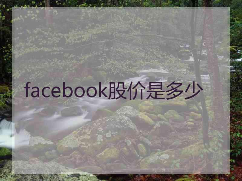 facebook股价是多少