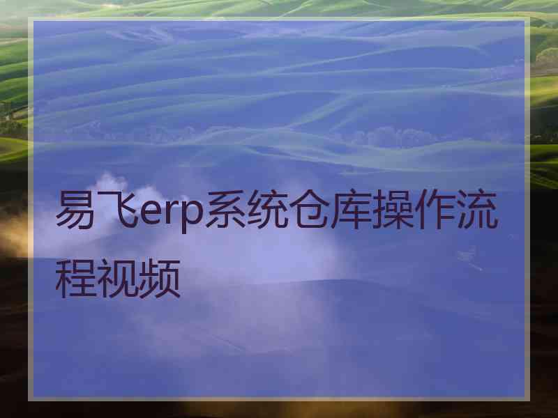 易飞erp系统仓库操作流程视频