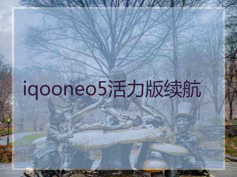 iqooneo5活力版续航