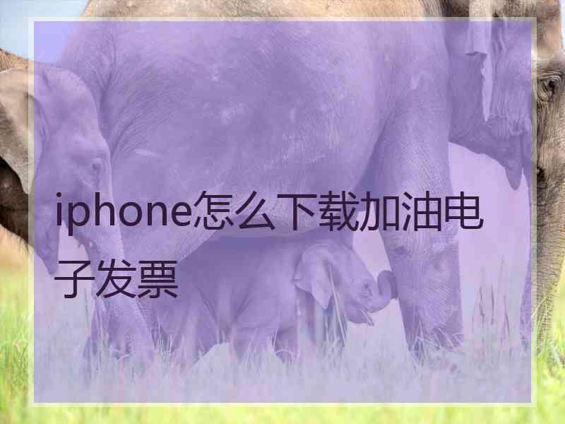 iphone怎么下载加油电子发票