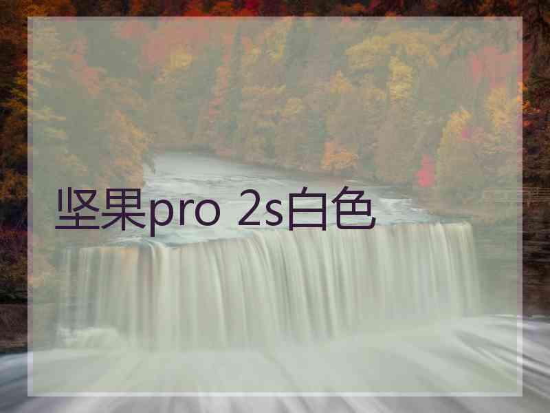 坚果pro 2s白色