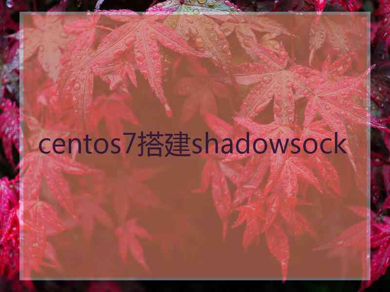 centos7搭建shadowsock