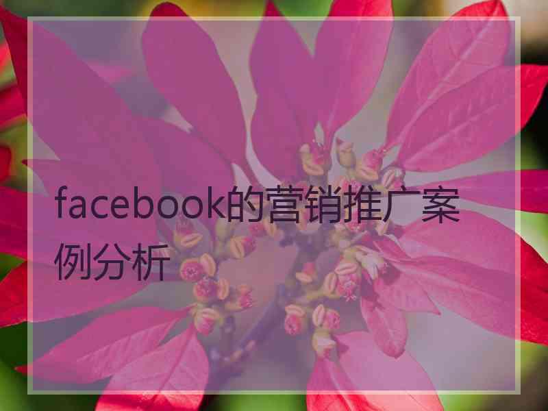 facebook的营销推广案例分析