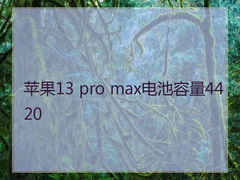 苹果13 pro max电池容量4420