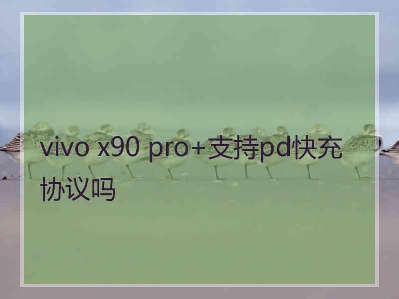 vivo x90 pro+支持pd快充协议吗