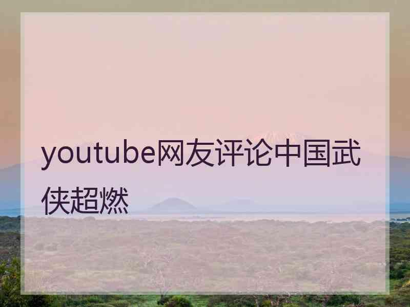 youtube网友评论中国武侠超燃