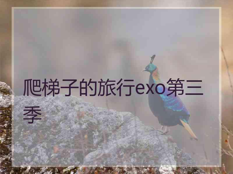 爬梯子的旅行exo第三季