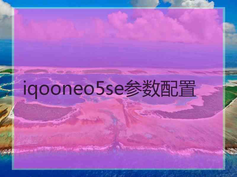 iqooneo5se参数配置