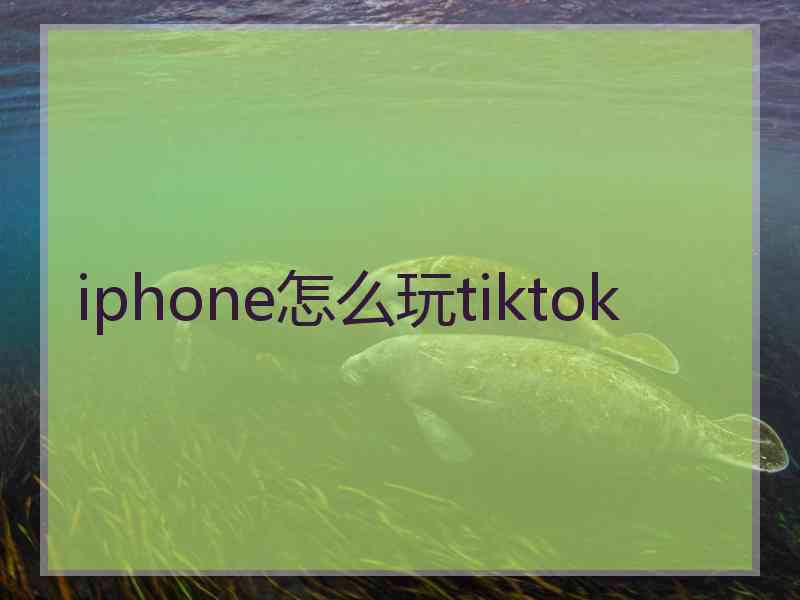 iphone怎么玩tiktok