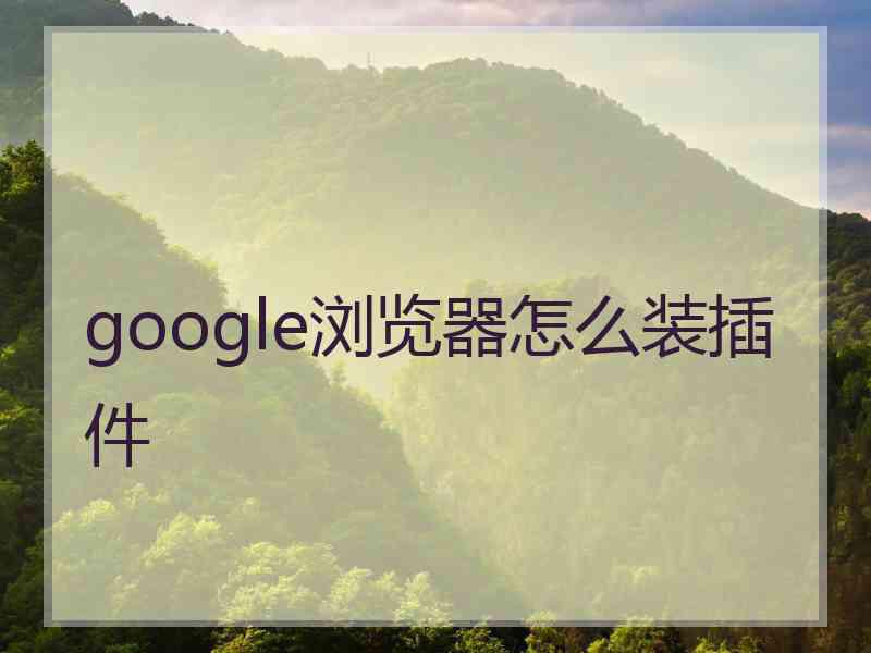 google浏览器怎么装插件