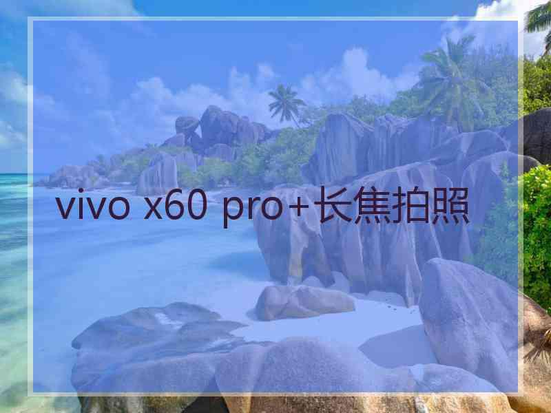 vivo x60 pro+长焦拍照