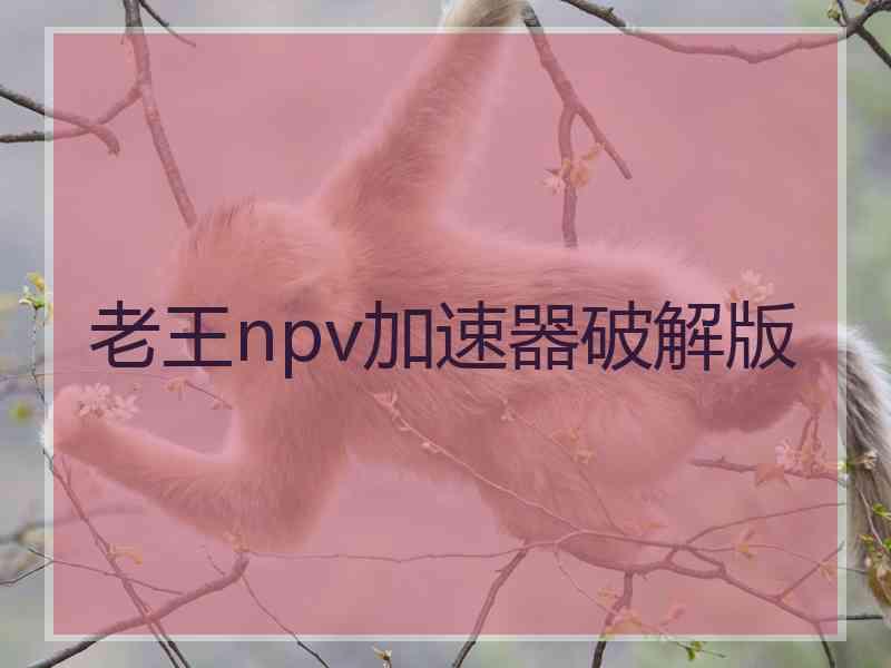 老王npv加速器破解版