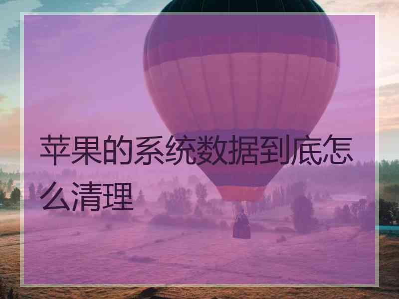 苹果的系统数据到底怎么清理