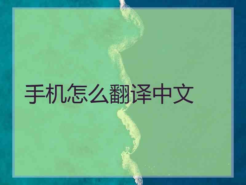 手机怎么翻译中文