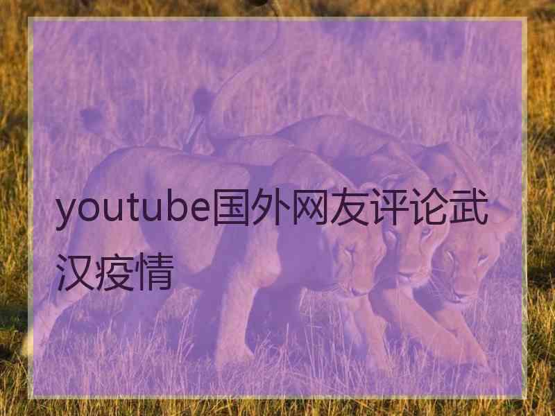 youtube国外网友评论武汉疫情