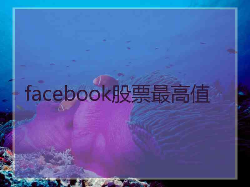 facebook股票最高值