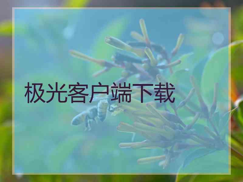 极光客户端下载