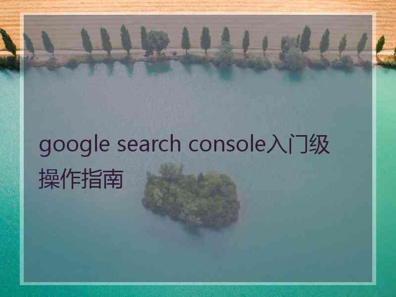 google search console入门级操作指南