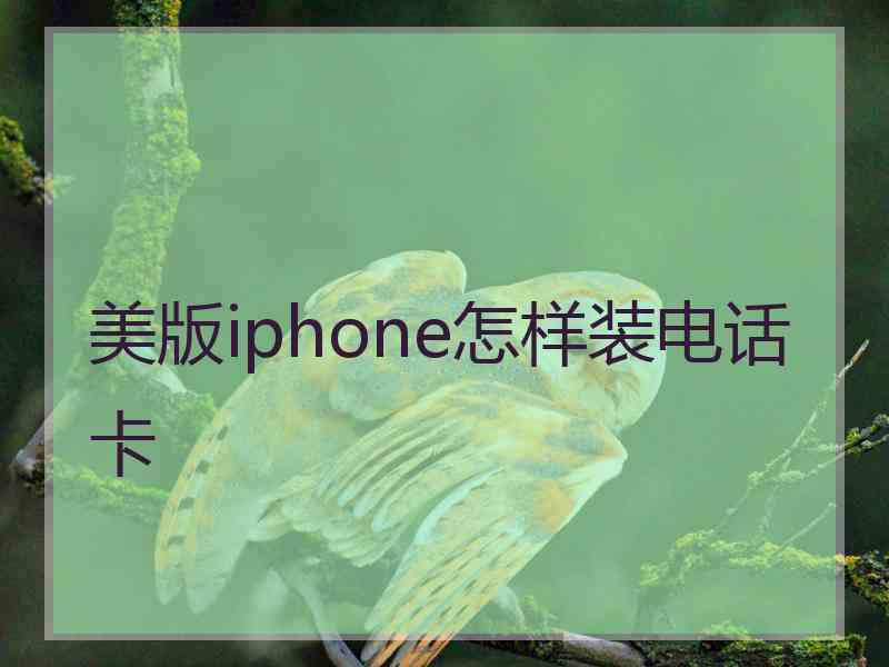 美版iphone怎样装电话卡