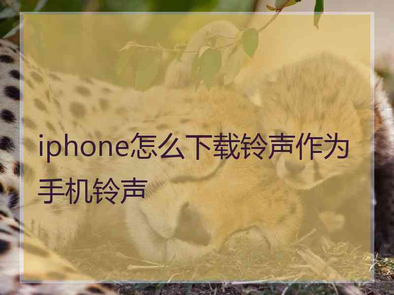 iphone怎么下载铃声作为手机铃声