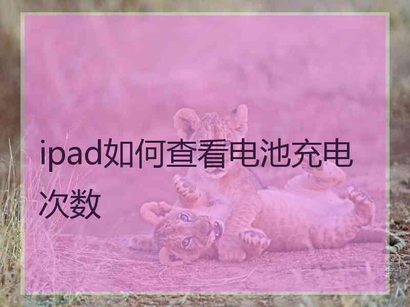 ipad如何查看电池充电次数