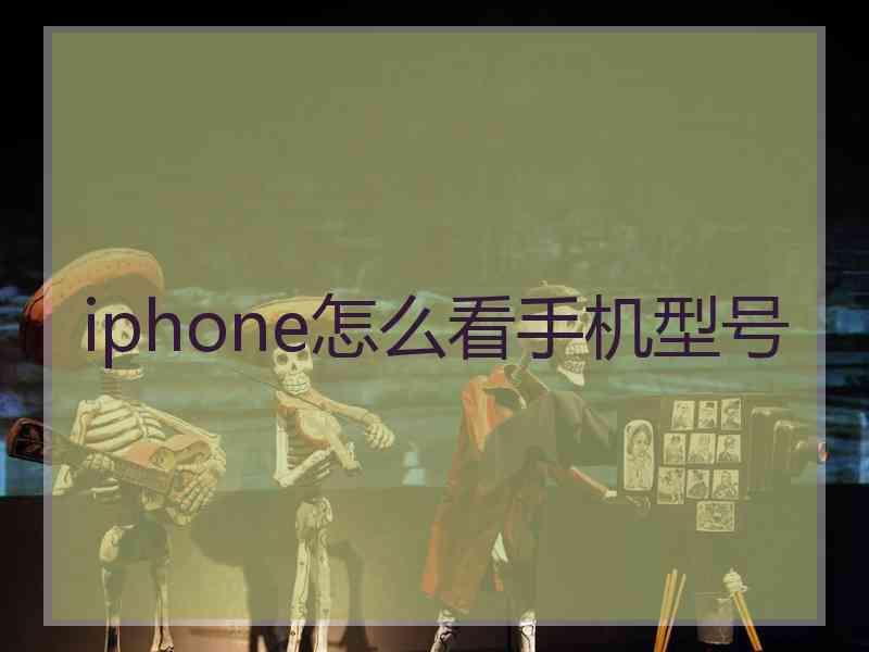 iphone怎么看手机型号