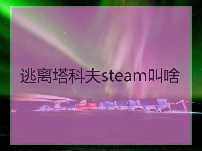 逃离塔科夫steam叫啥