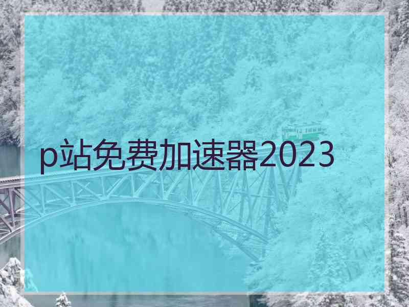 p站免费加速器2023