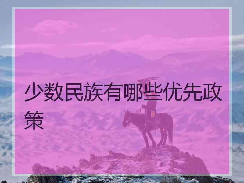 少数民族有哪些优先政策