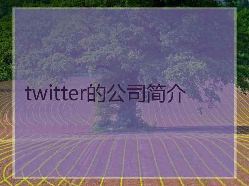 twitter的公司简介