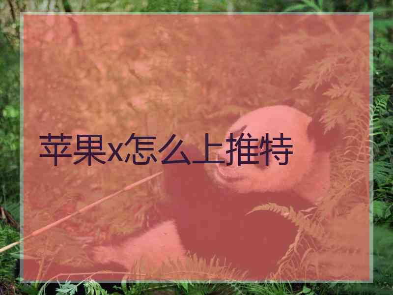 苹果x怎么上推特